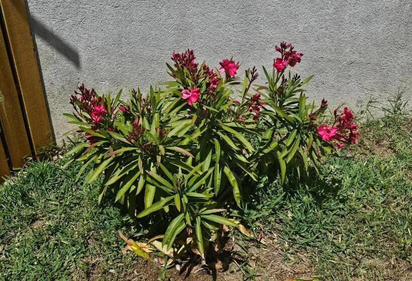 住宿加早餐  Casal Cura   Adults Only