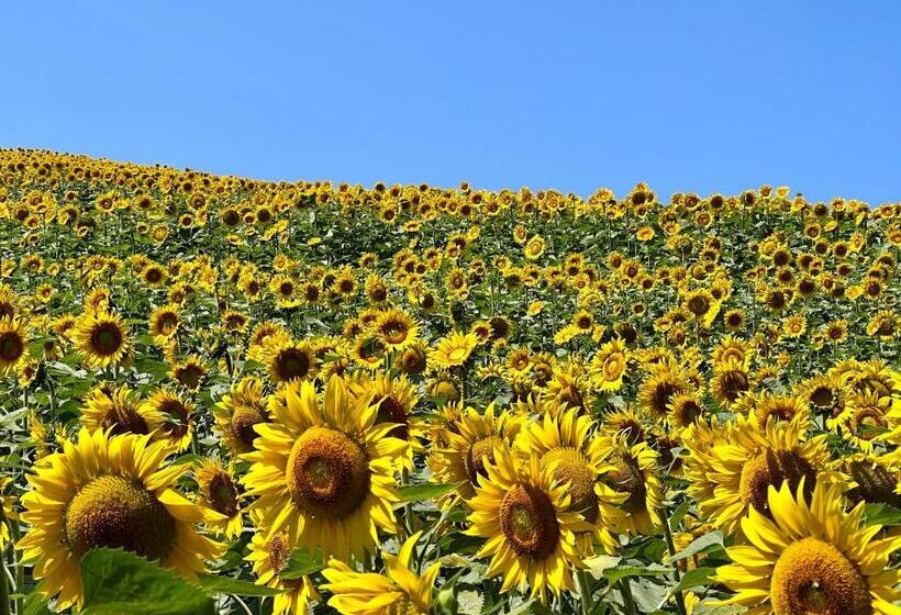 مبيت وإفطار Le Manoir De Jasmine