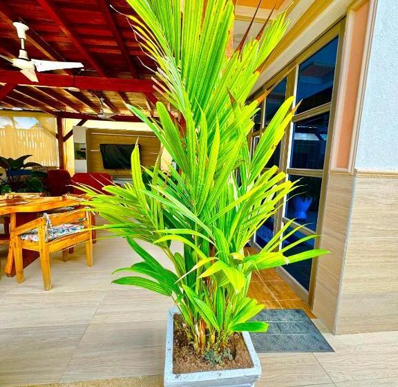 Espectaculares Cabañas Y Habitaciones Frente Al Mar