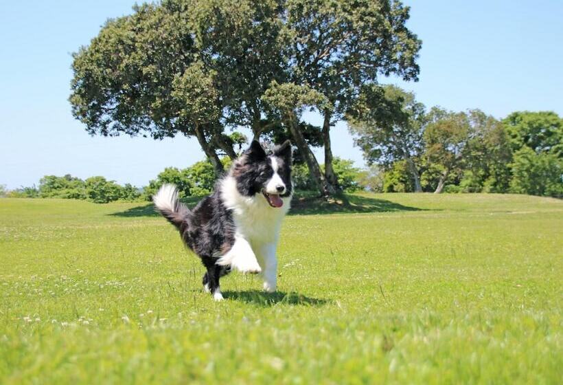 فندق Nanki Shirahama Dog Paradise