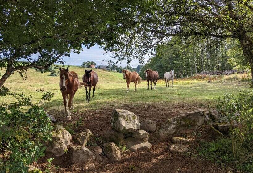 פנסיון Ferme équestre Equi Cantal