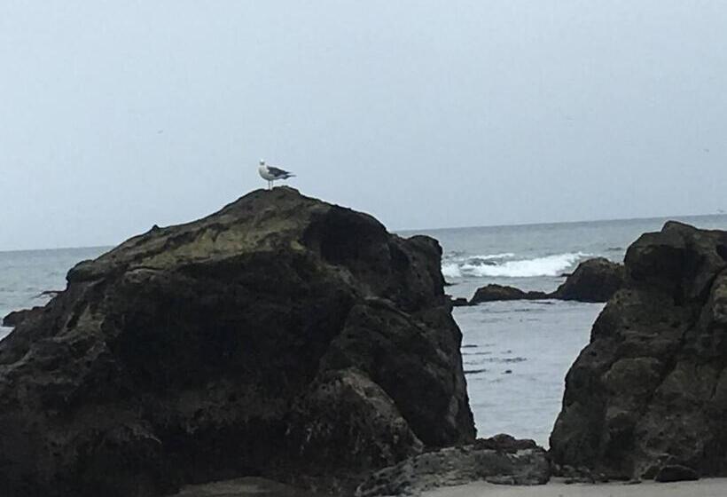 بنسيون Oasis Wadaura   Vacation Stay 85732v