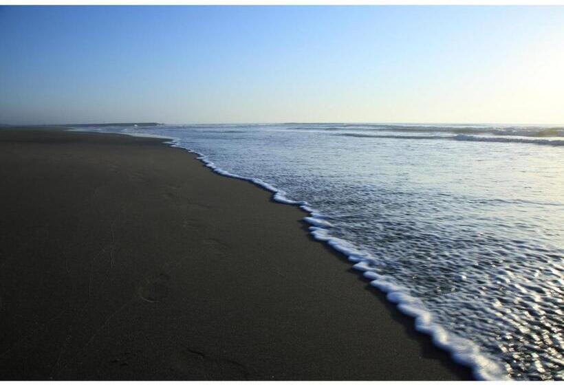 ペンション Space Haku   Vacation Stay 82884v