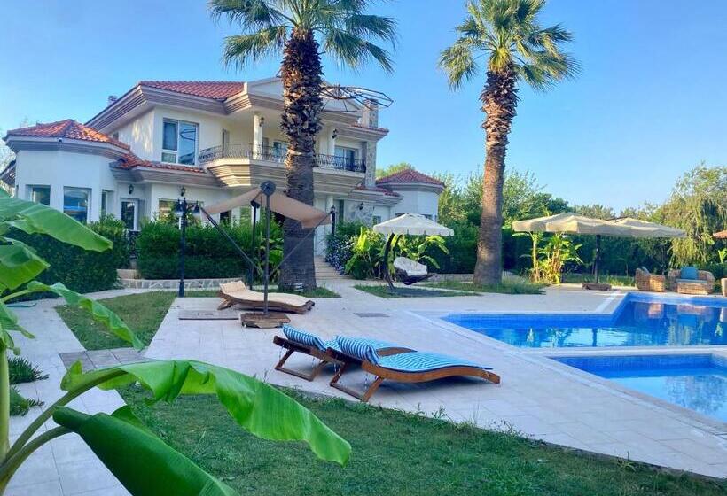 پانسیون Sunyear Guest Houses 1