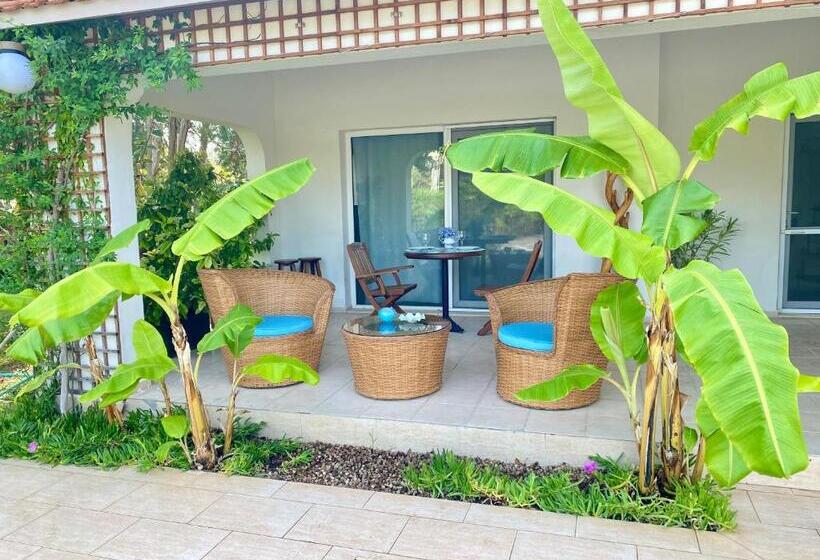 پانسیون Sunyear Guest Houses 1