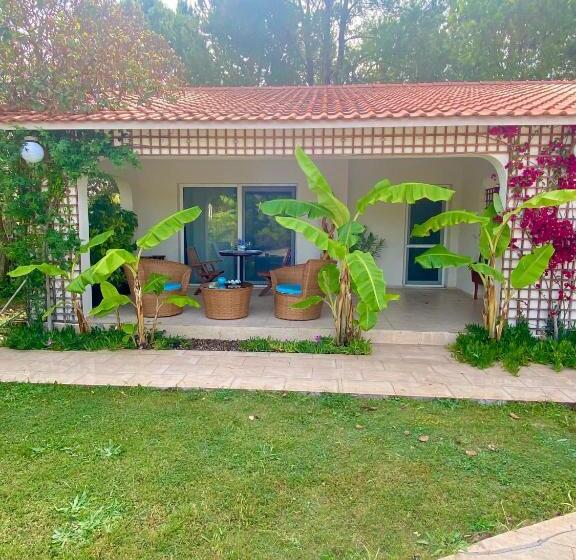 پانسیون Sunyear Guest Houses 1