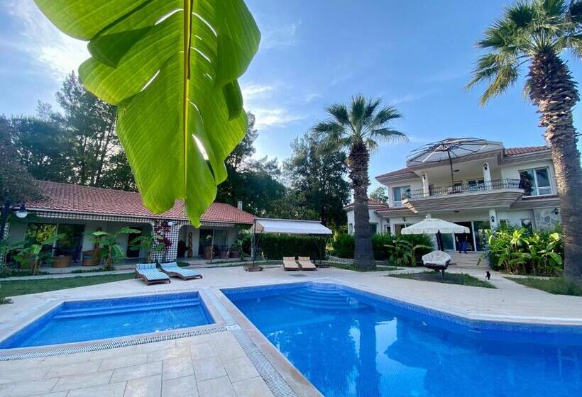 پانسیون Sunyear Guest Houses 1