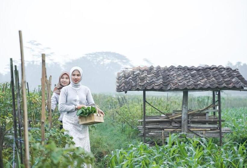 پانسیون Villa White Wringin Borobudur