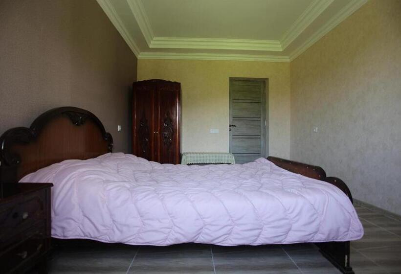 پانسیون Vs Guest House