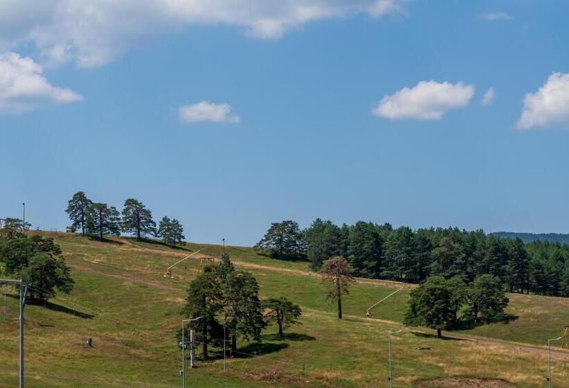 Vip Bogić Apartmani   Recepcija