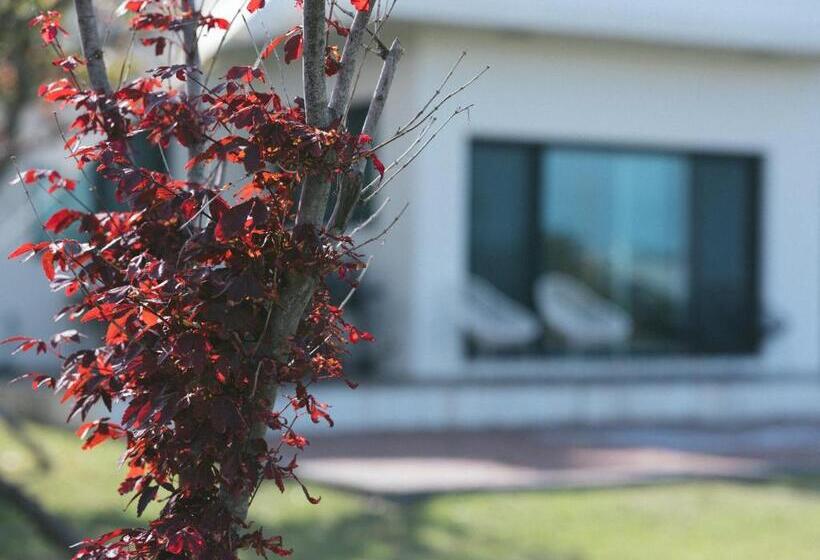 פנסיון Jayouhaneun Private House