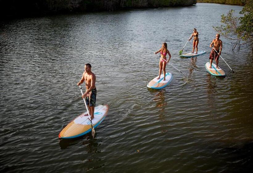 فندق صغير Villa Paz   La Villa Group