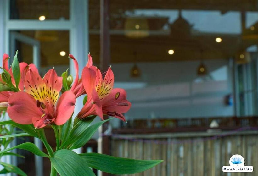 فندق Blue Lotus Resort