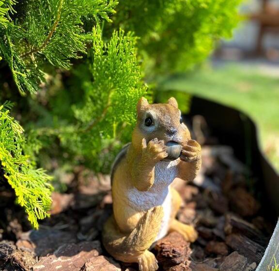 ユースホステル Green House Gribovka