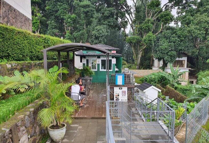 בית מלון כפרי Ariandri Puncak