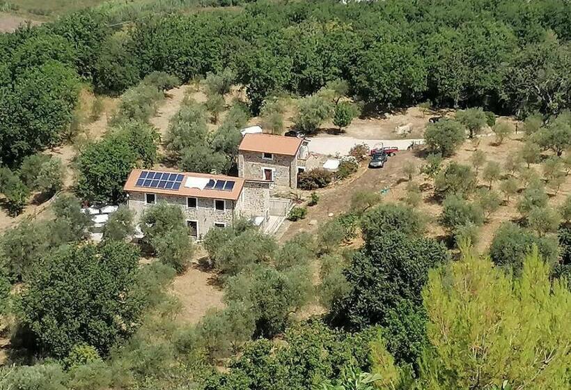 ホテル Podere La Starza