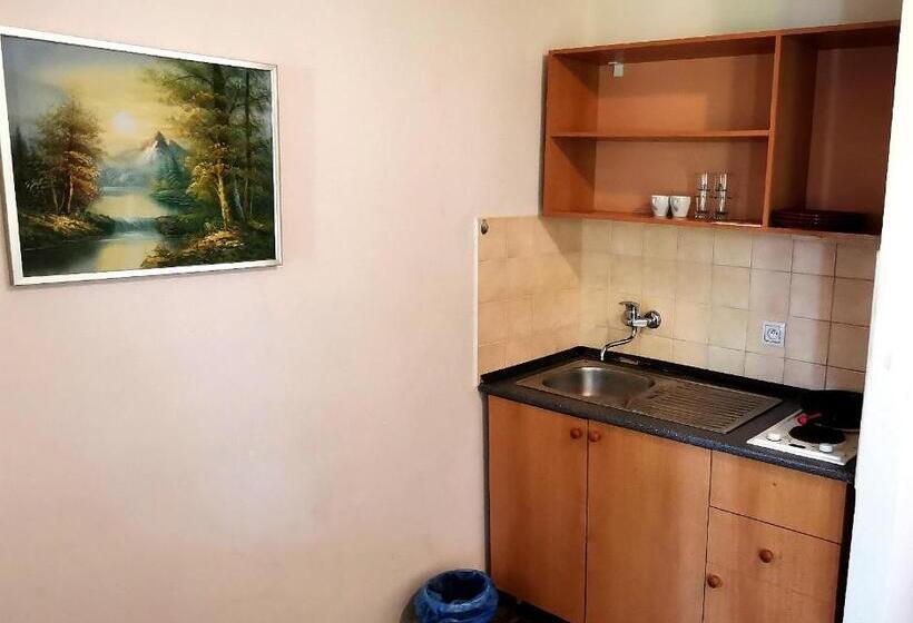 펜션 Penzión Labuť