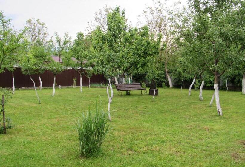 بنسيون Solomiia