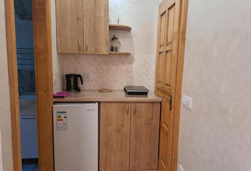 بنسيون Solomiia