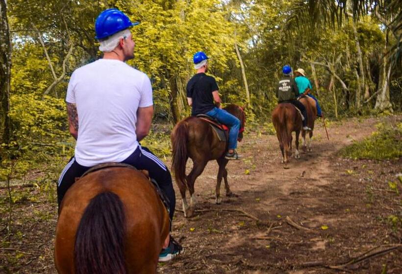 فندق Pousada São João   Estrada Parque Pantanal