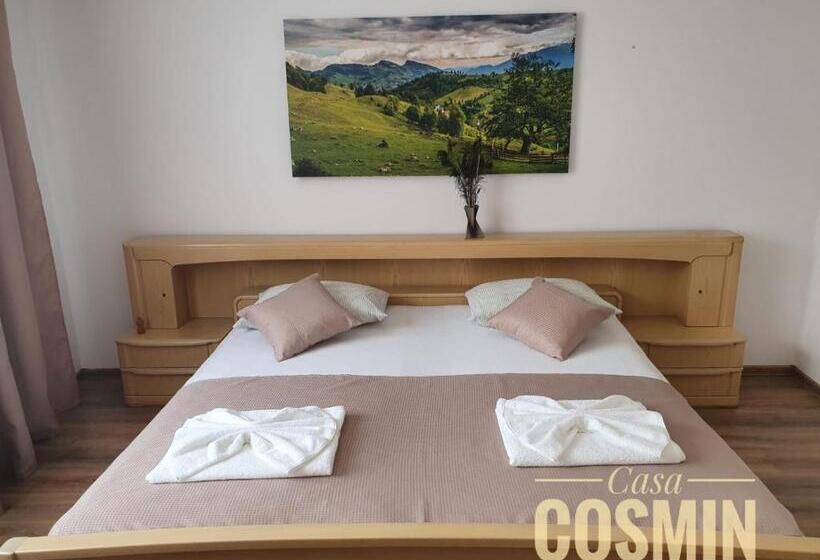 פנסיון Casa Cosmin Cincu