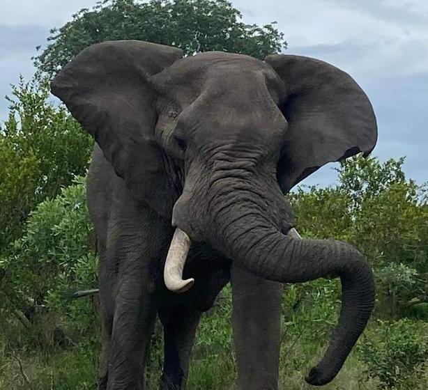 بنسيون Overnight Stop Before Kruger National Park