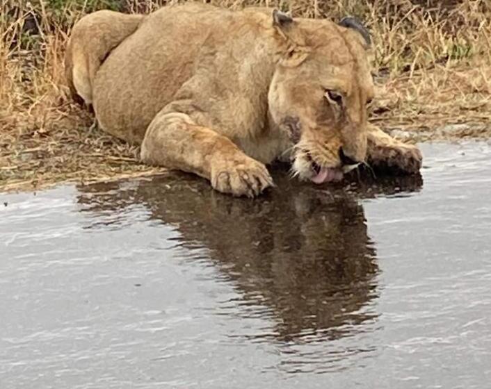 פנסיון Overnight Stop Before Kruger National Park