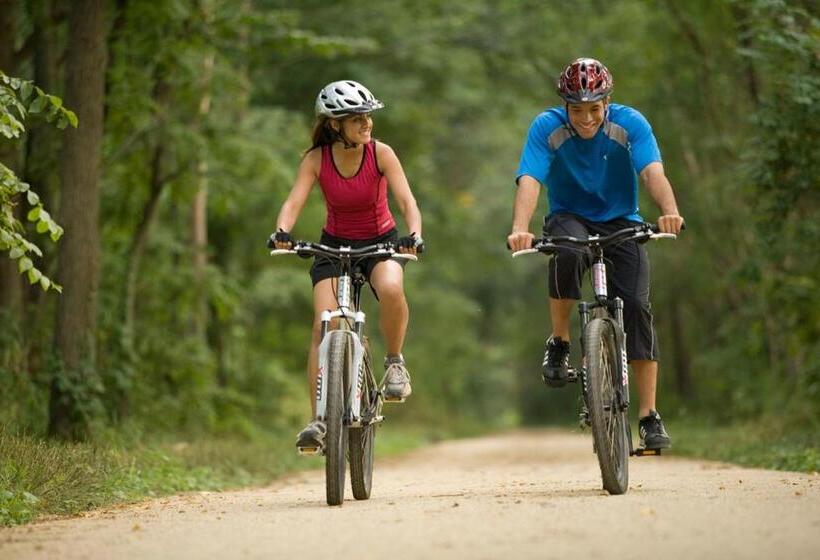 膳宿费 Penzión Roal Pieniny