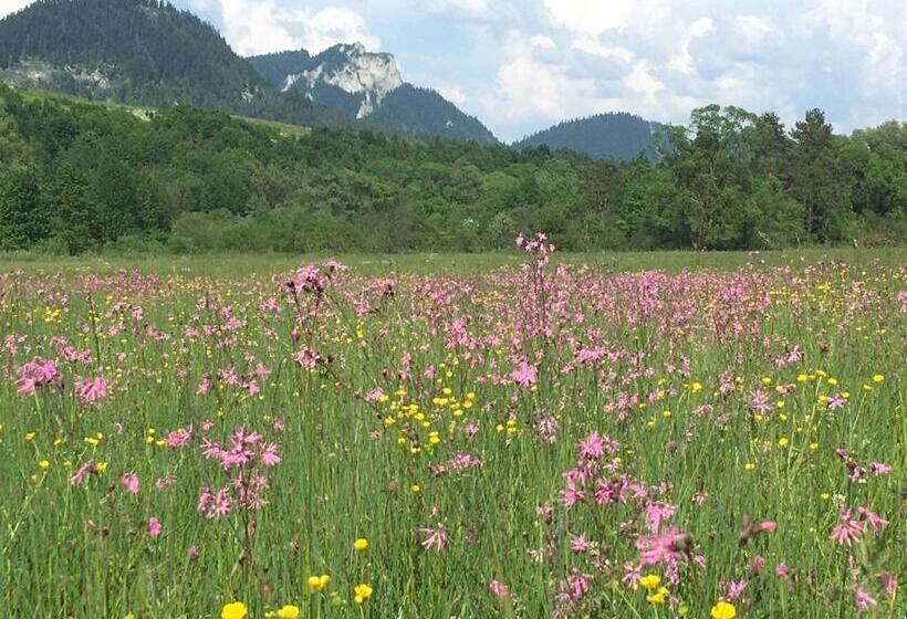 膳宿费 Penzión Roal Pieniny