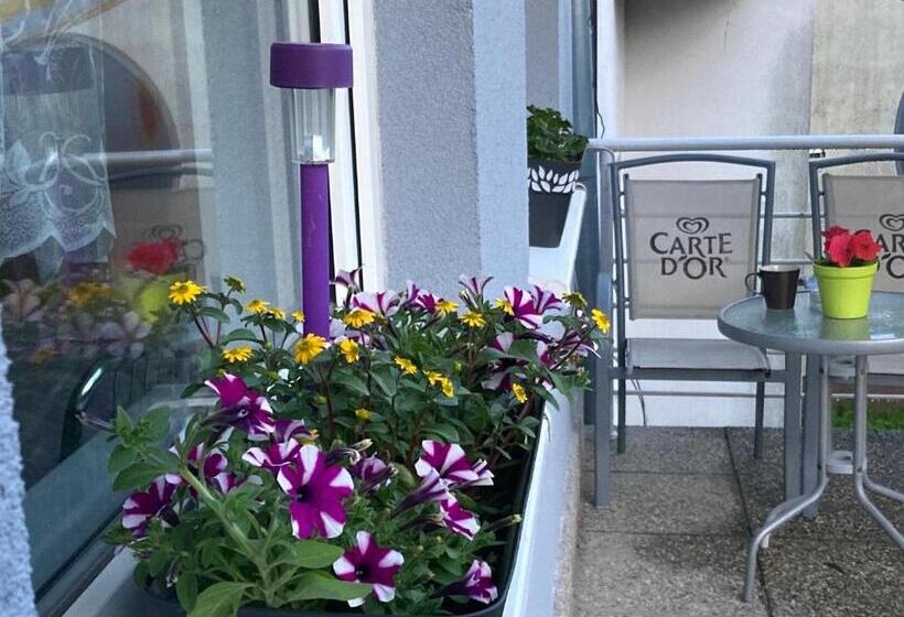 膳宿费 Penzión Roal Pieniny