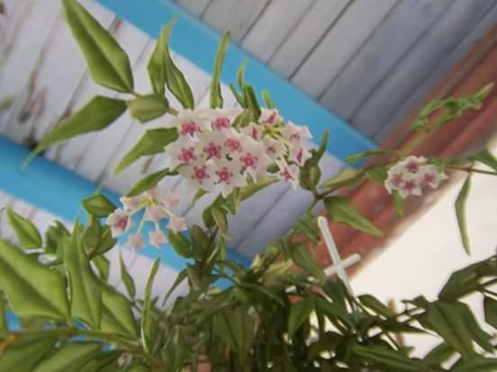 فندق Agriturismo Silitta
