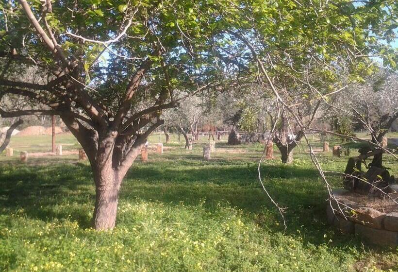 فندق Agriturismo Silitta