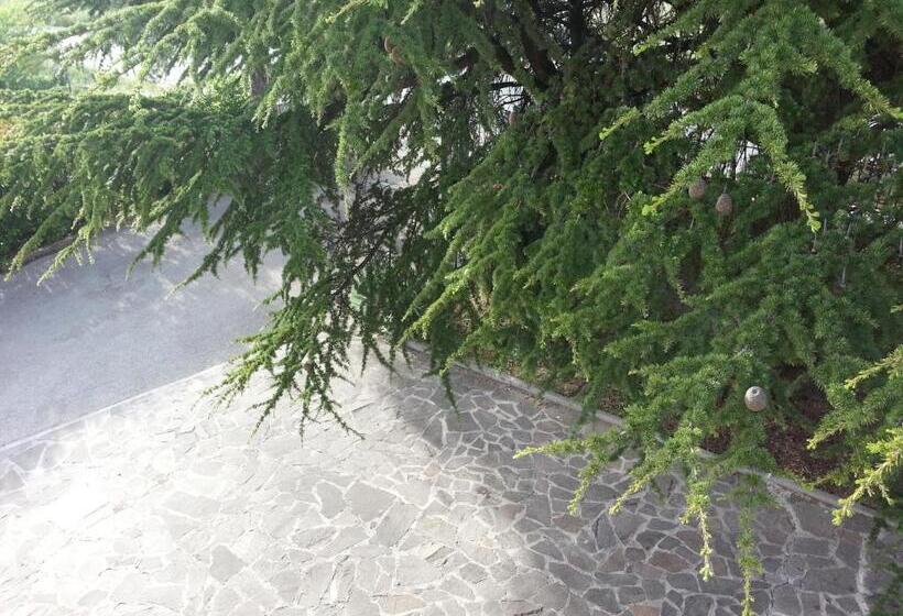 ホテル Bad & Breakfast La Siepe