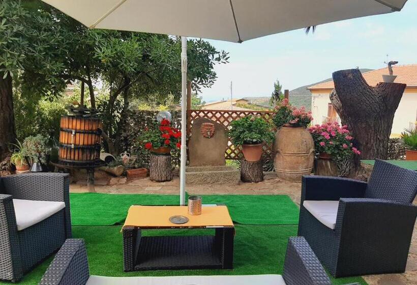 ペンション Affittacamere La Vigna