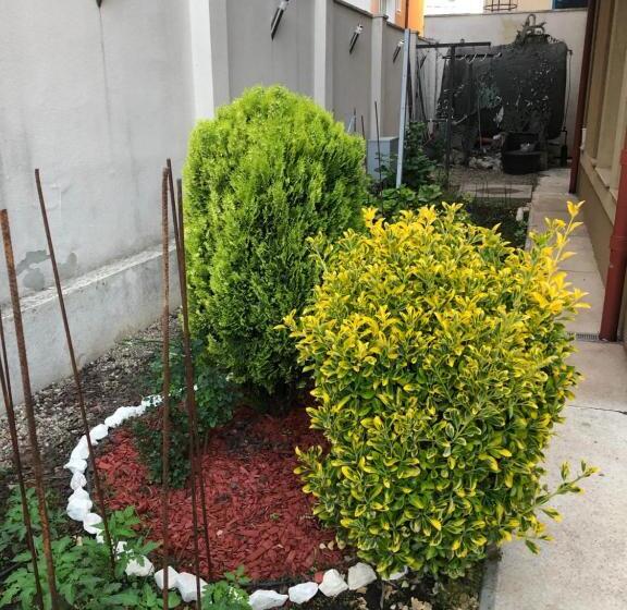 פנסיון Vila Doda