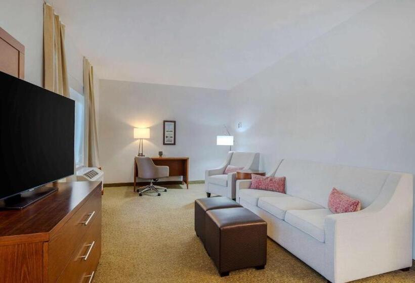 호텔 Comfort Suites