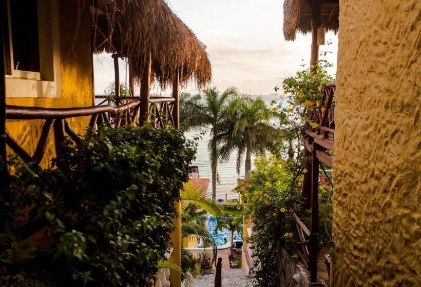 هتل La Joya Isla Mujeres