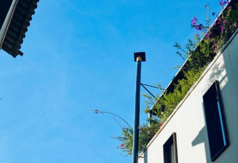 هتل Yakamoz Haijie