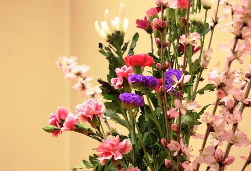 ريوكان Asahi Club