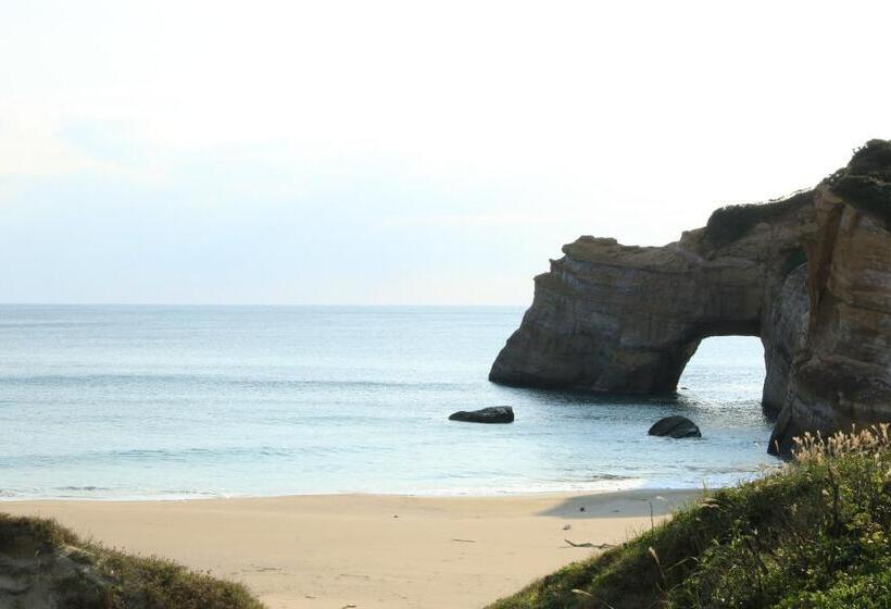 ריוקאן Tanegashima Minshuku Yuyu