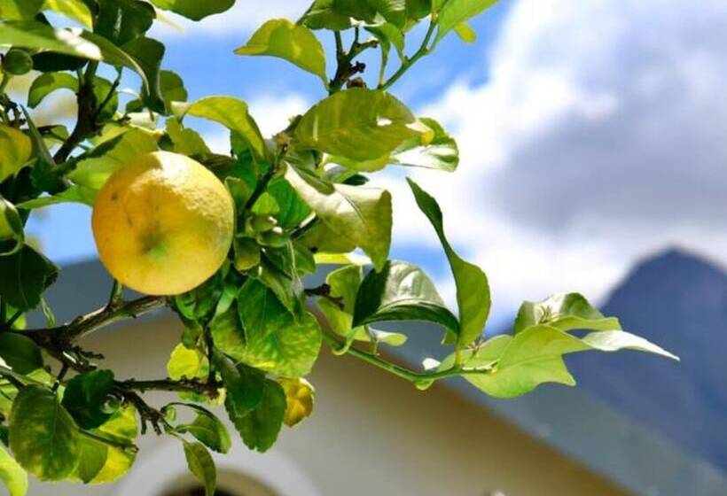 צימר Bergview Guesthouse Swellendam