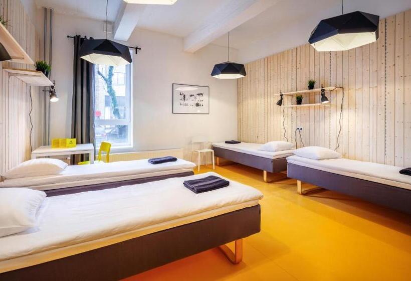 Hektor Design Hostel
