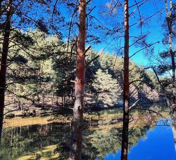 בית מלון כפרי Rural Los Manzanos