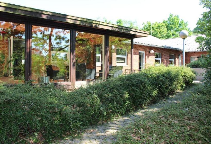 Aarhus Hostel Og