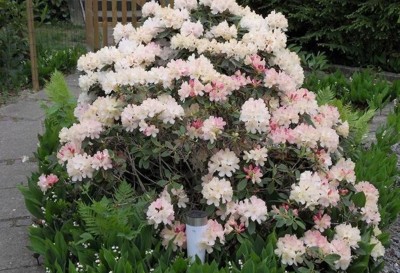 Bed And Breakfast Birkerod