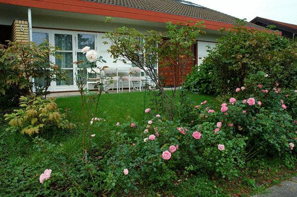 مبيت وإفطار Rosehouse Hillerød Bed And Kitchen
