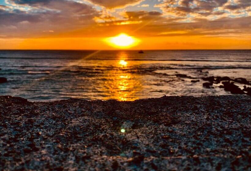 تختخواب و صبحانه 綠島寧靜海潛水 城堡館 Twinkleocean Diving Hostel