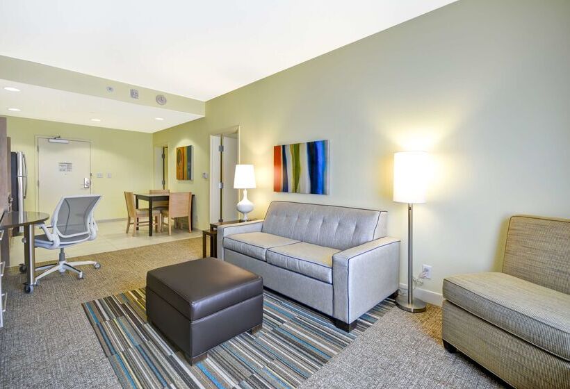 هتل Home2 Suites By Hilton Dallas Addison