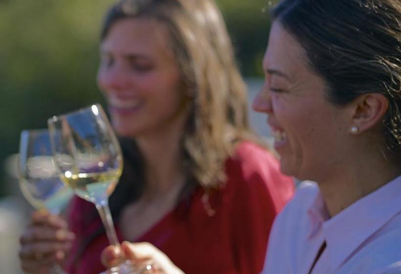 בית מלון כפרי Clos Apalta Residence Relais & Chateaux