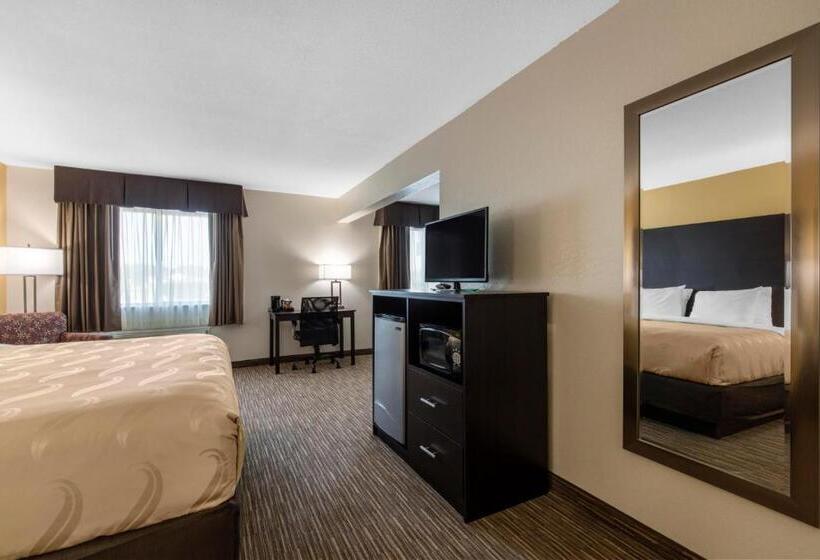 Отель Quality Inn & Suites Metropolis I24